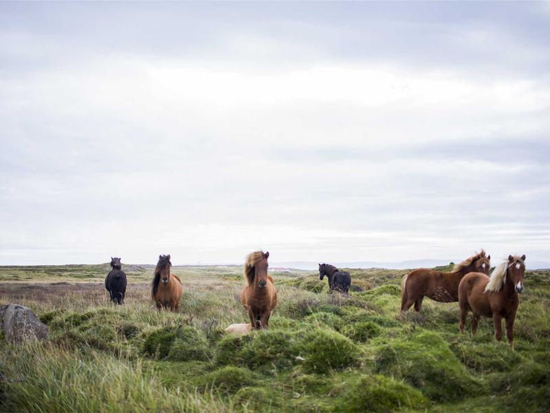 后台耗电管控<br>禁止APP后台偷跑电量指南